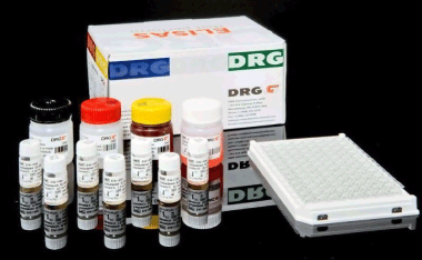 DRG-Estradiol