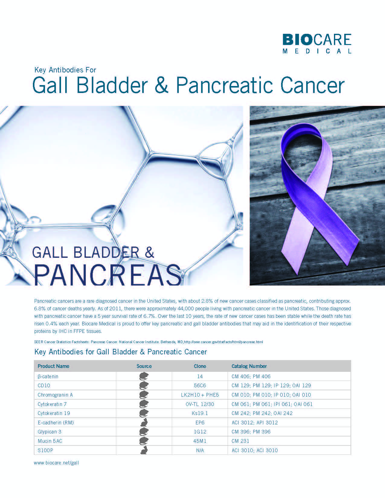 Pancrease Cancer IHC Antibody Panel_Page_1