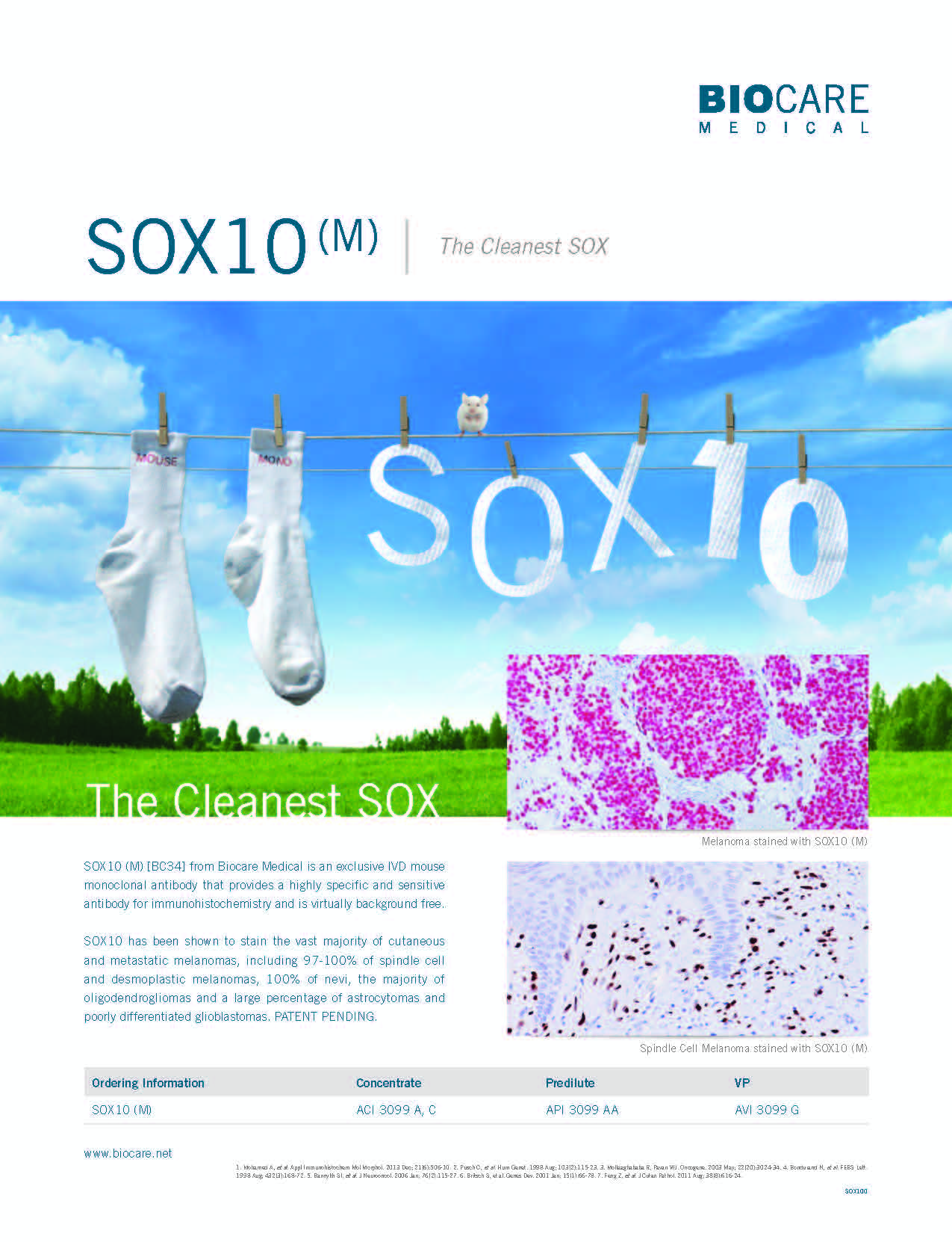 SOX100 mouse monoclonal antibody