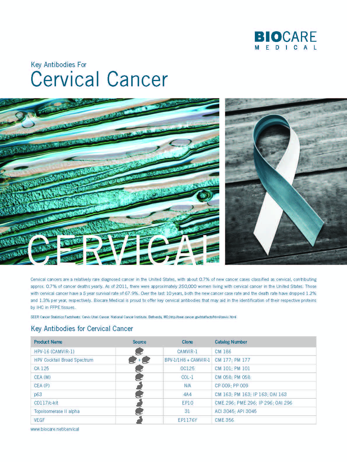 cervical cancer antibodies panel_Page_1