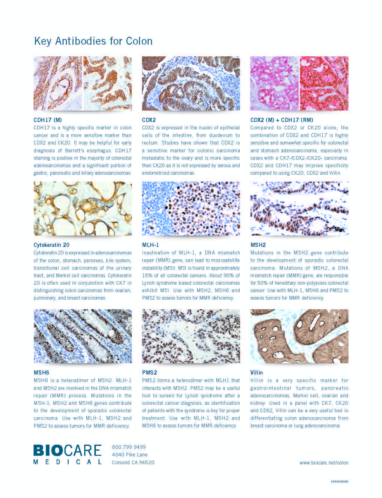 colon cancer antibody panel_Page_2