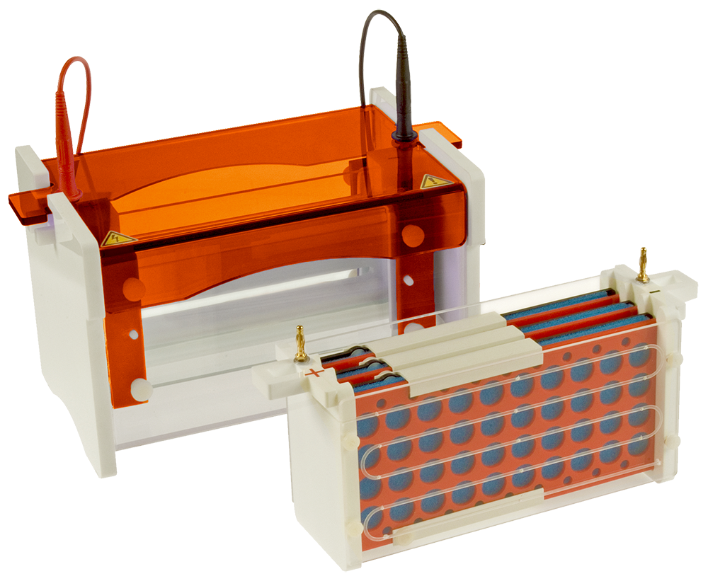 Vertical Electrophoresis