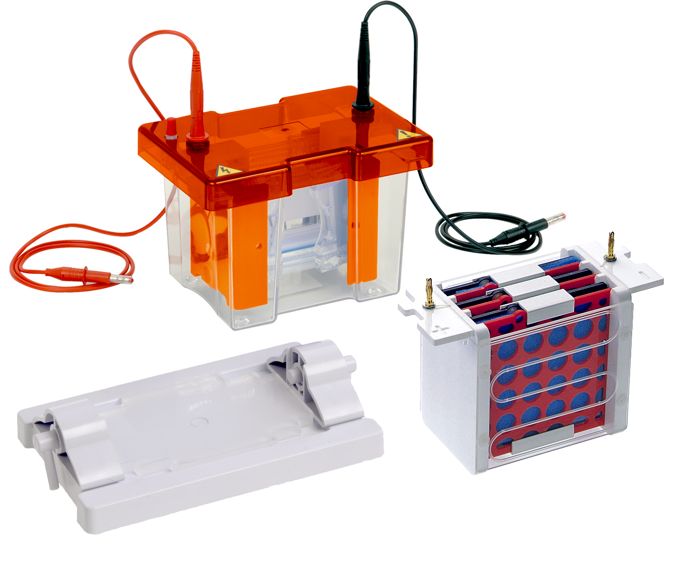 Vertical Electrophoresis