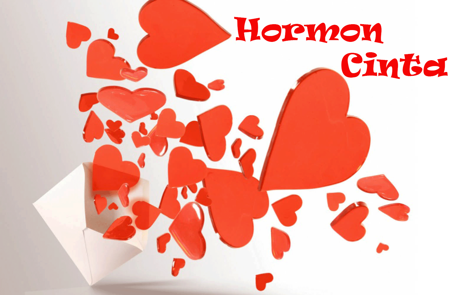 hormon-cinta