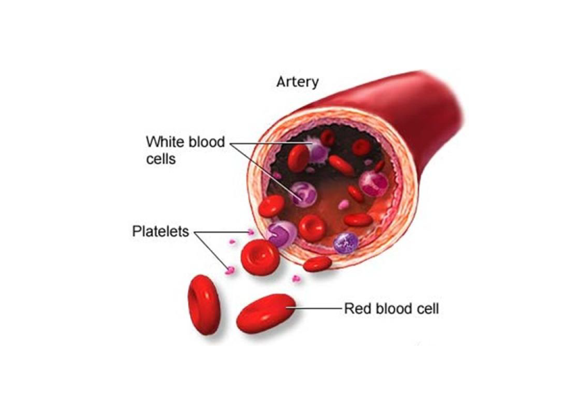 thrombosite